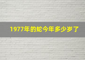 1977年的蛇今年多少岁了