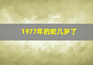 1977年的蛇几岁了