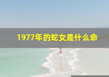 1977年的蛇女是什么命