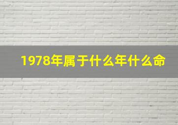 1978年属于什么年什么命