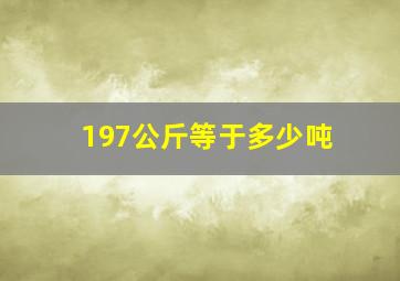 197公斤等于多少吨