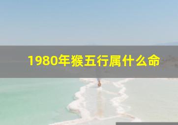 1980年猴五行属什么命