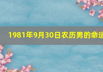 1981年9月30日农历男的命运