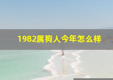 1982属狗人今年怎么样