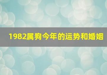 1982属狗今年的运势和婚姻