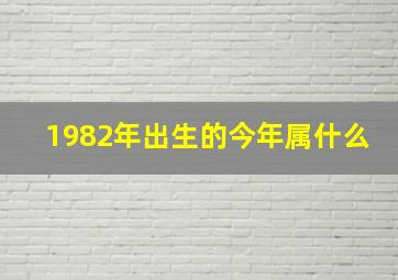 1982年出生的今年属什么