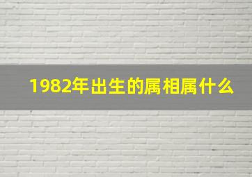 1982年出生的属相属什么