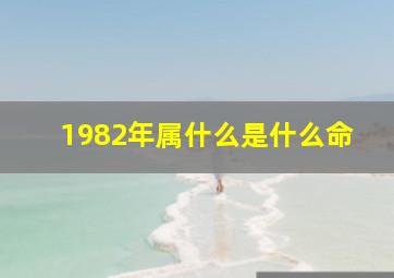 1982年属什么是什么命