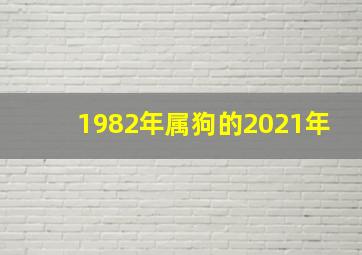 1982年属狗的2021年