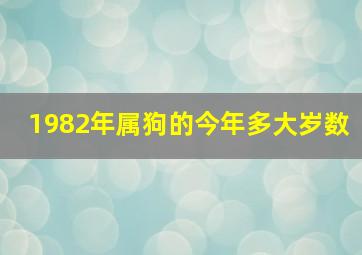 1982年属狗的今年多大岁数