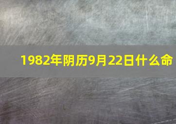 1982年阴历9月22日什么命