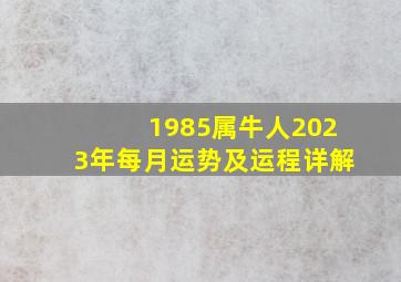 1985属牛人2023年每月运势及运程详解