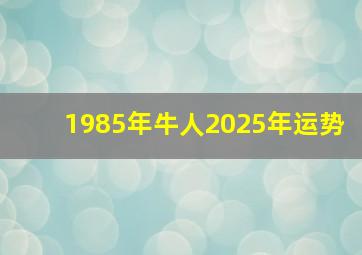 1985年牛人2025年运势