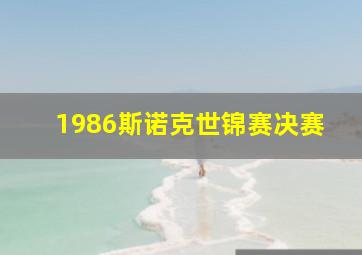 1986斯诺克世锦赛决赛