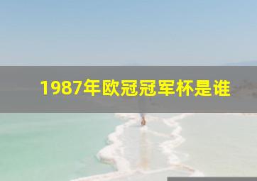 1987年欧冠冠军杯是谁