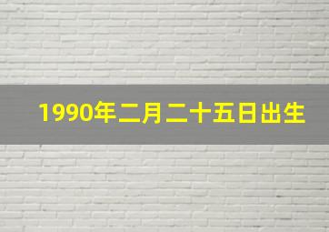 1990年二月二十五日出生