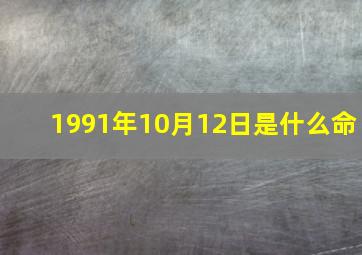 1991年10月12日是什么命