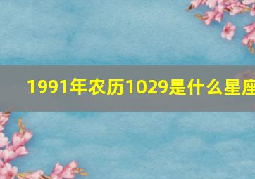 1991年农历1029是什么星座