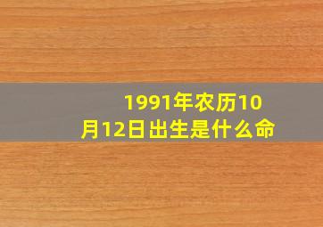 1991年农历10月12日出生是什么命