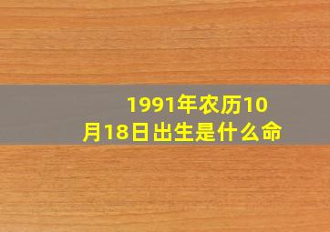 1991年农历10月18日出生是什么命