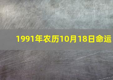 1991年农历10月18日命运