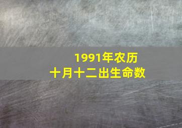 1991年农历十月十二出生命数