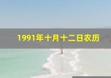 1991年十月十二日农历