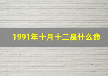 1991年十月十二是什么命