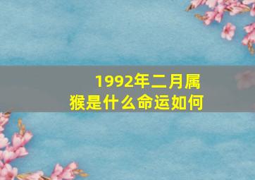 1992年二月属猴是什么命运如何