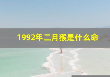 1992年二月猴是什么命