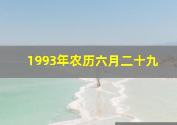 1993年农历六月二十九