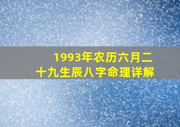 1993年农历六月二十九生辰八字命理详解