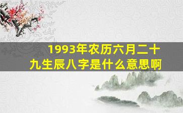 1993年农历六月二十九生辰八字是什么意思啊