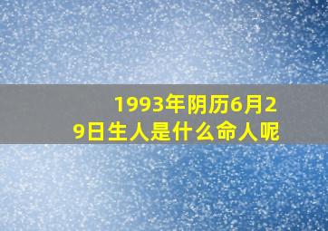 1993年阴历6月29日生人是什么命人呢