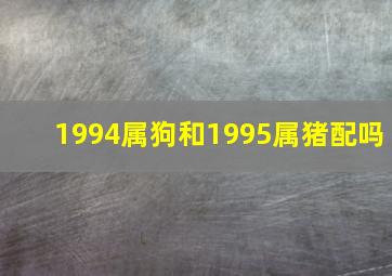 1994属狗和1995属猪配吗