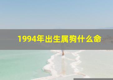 1994年出生属狗什么命