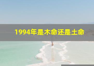 1994年是木命还是土命