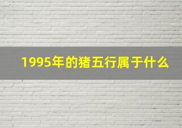 1995年的猪五行属于什么