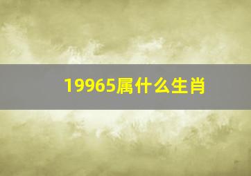 19965属什么生肖