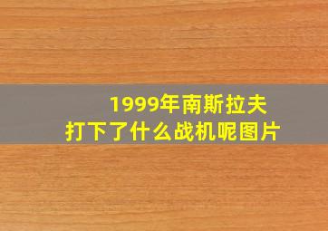 1999年南斯拉夫打下了什么战机呢图片