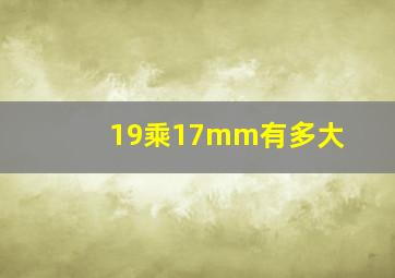 19乘17mm有多大