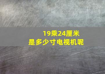 19乘24厘米是多少寸电视机呢