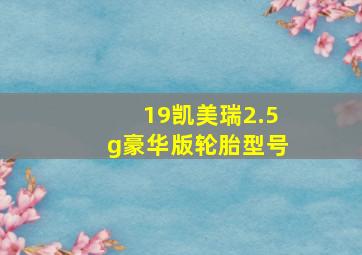 19凯美瑞2.5g豪华版轮胎型号