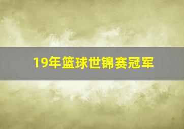 19年篮球世锦赛冠军