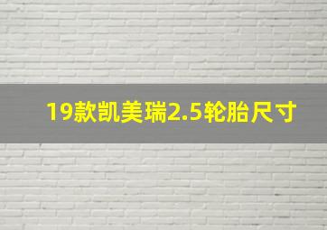 19款凯美瑞2.5轮胎尺寸