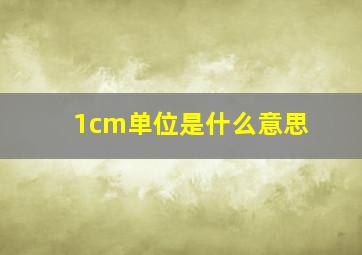 1cm单位是什么意思