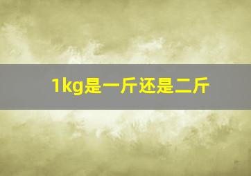 1kg是一斤还是二斤