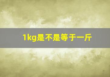 1kg是不是等于一斤