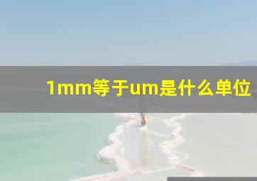 1mm等于um是什么单位