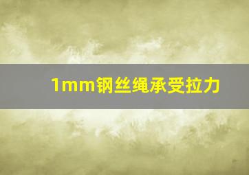 1mm钢丝绳承受拉力